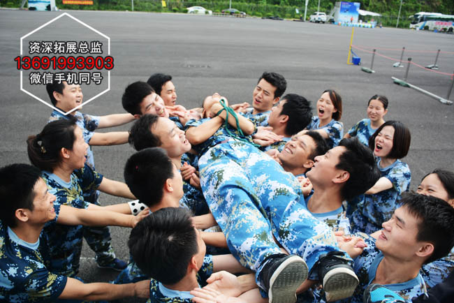 信任背摔拓展项目