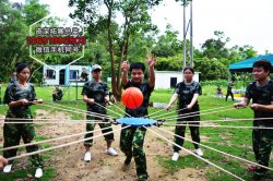 深圳拓展公司哪家好?挺急的!在线等!