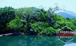 杨梅坑天然潭拓展基地|深圳拓展基地介绍