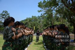为什么越来越多企业团建选择深圳拓展训练?
