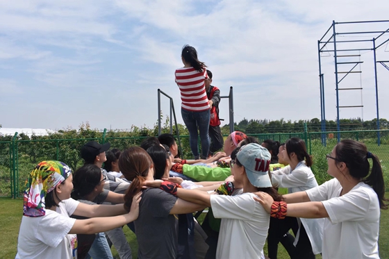 企业员工在进行信任背摔拓展项目体验