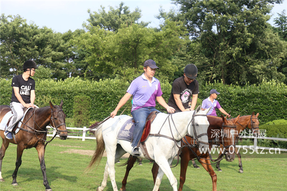 深圳管理层拓展课程:马术体验