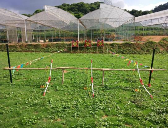 深圳亲子拓展活动项目:射箭体验