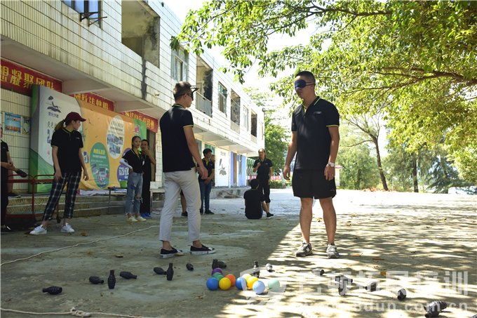 深圳拓展公司的拓展活动现场