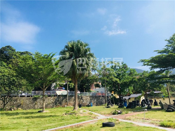 户外拓展训练基地